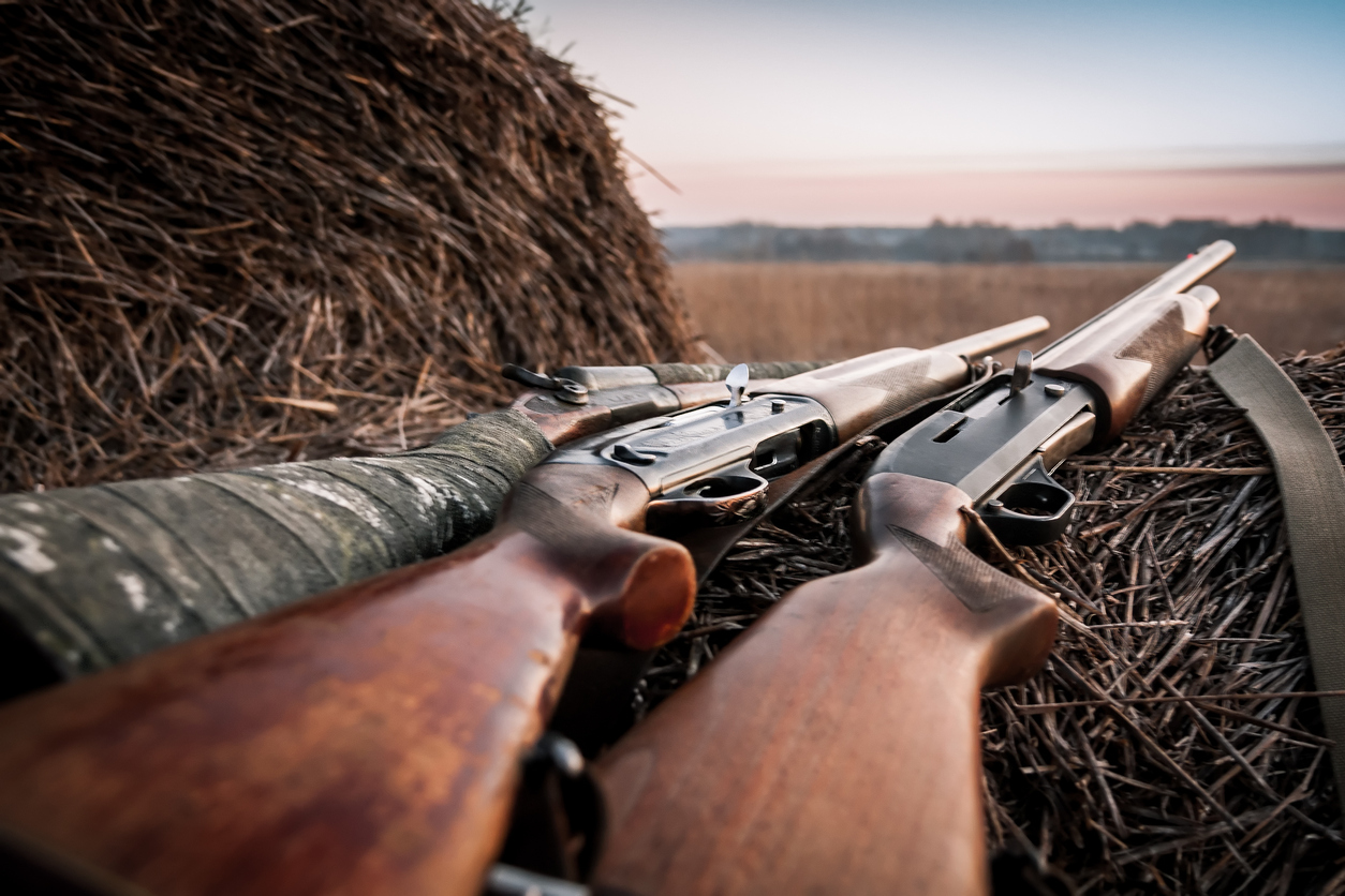 Antique hunting shotguns on a haystack.